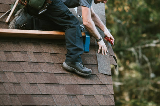Best Local Roofing Companies  in Chesterfield, IN